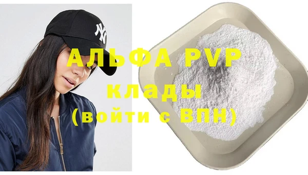винт Пересвет