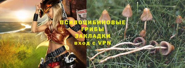 MESCALINE Осинники
