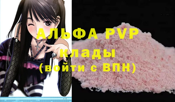 винт Пересвет