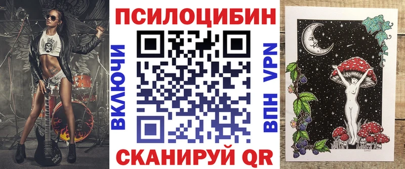 Галлюциногенные грибы Psilocybe  Заинск 