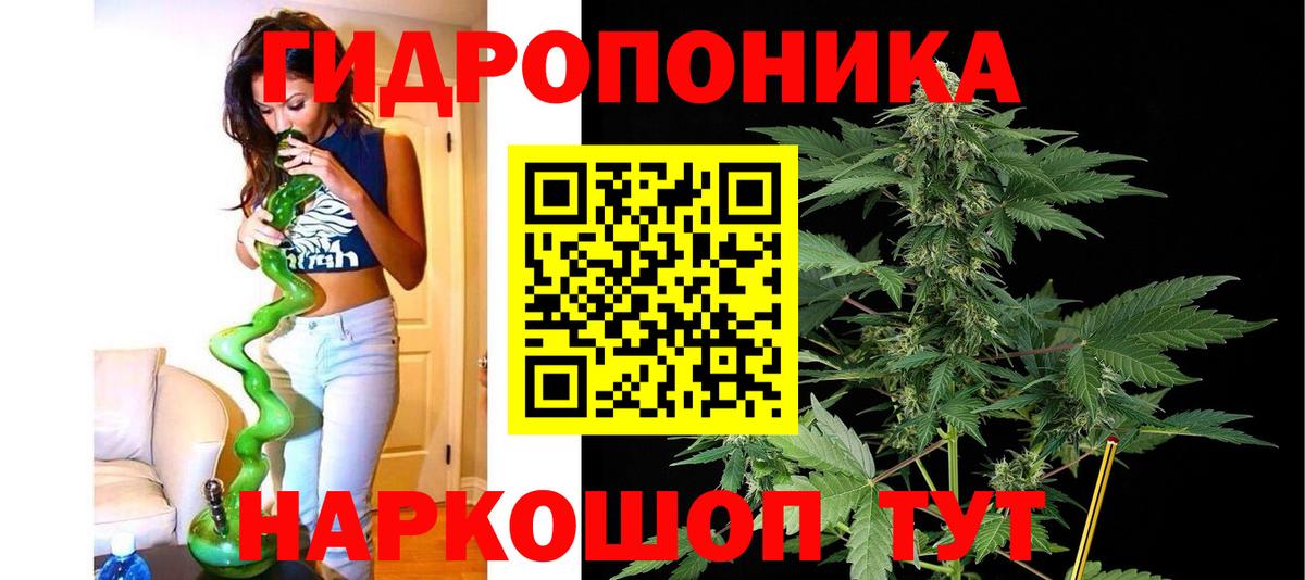 Заинск  Канабис OG Kush  Каннабис индика  Бошки Шишки планчик  Вход с VPN 